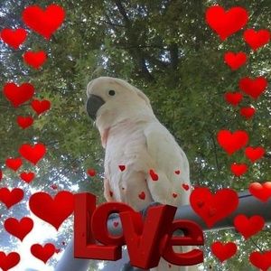 Meet your Posher, Gail